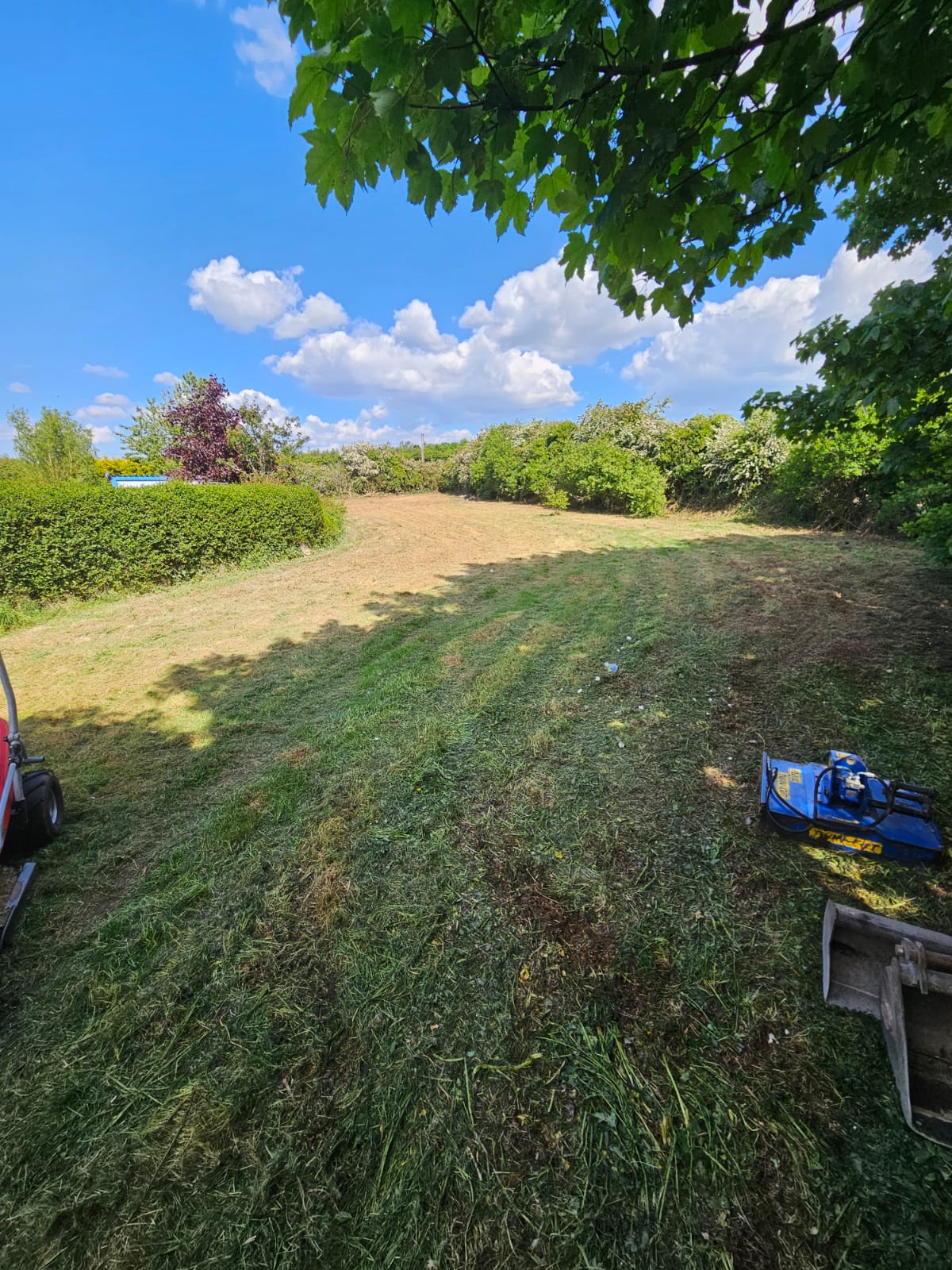 Major Garden Clearance & Lawn Establishment: From Overgrown Wilderness to Beautiful Garden Space