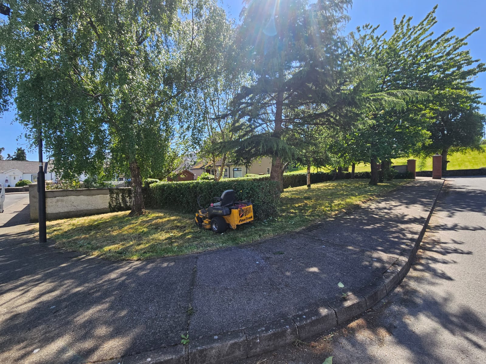 Professional Garden Maintenance