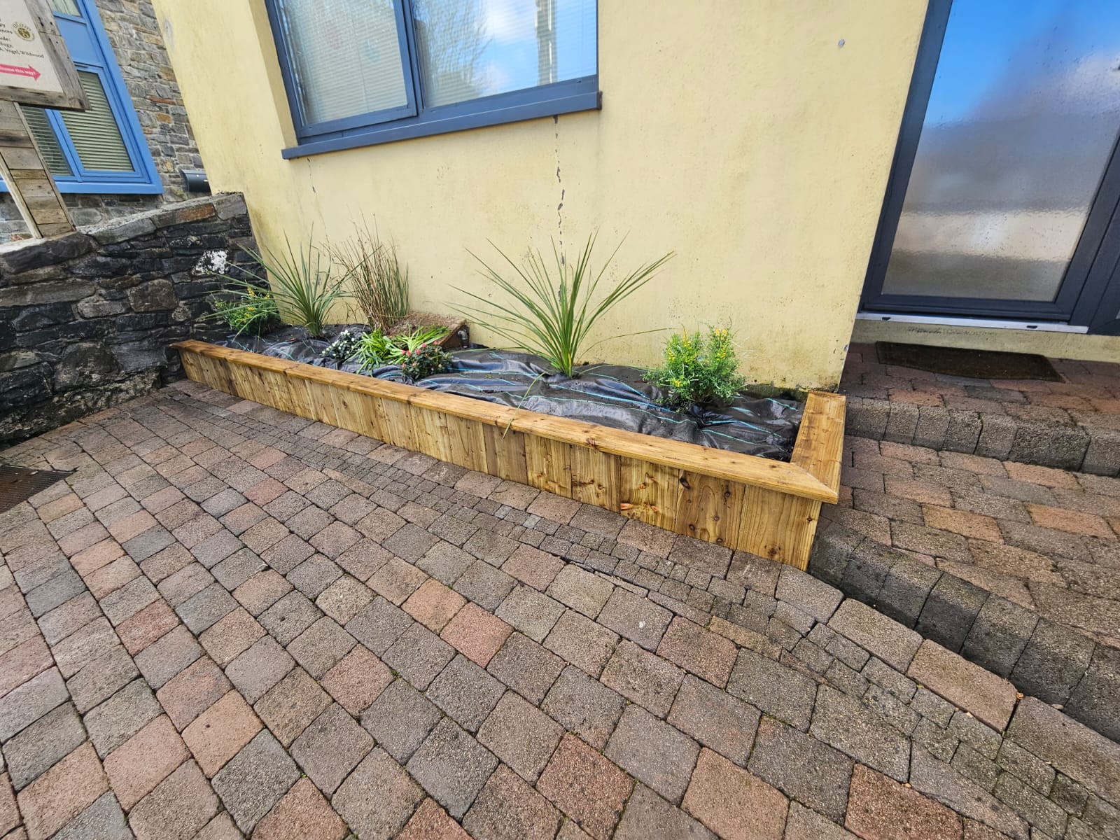Coastal Garden Design for Dundalk Bay Properties: Creating Beautiful Gardens by the Sea