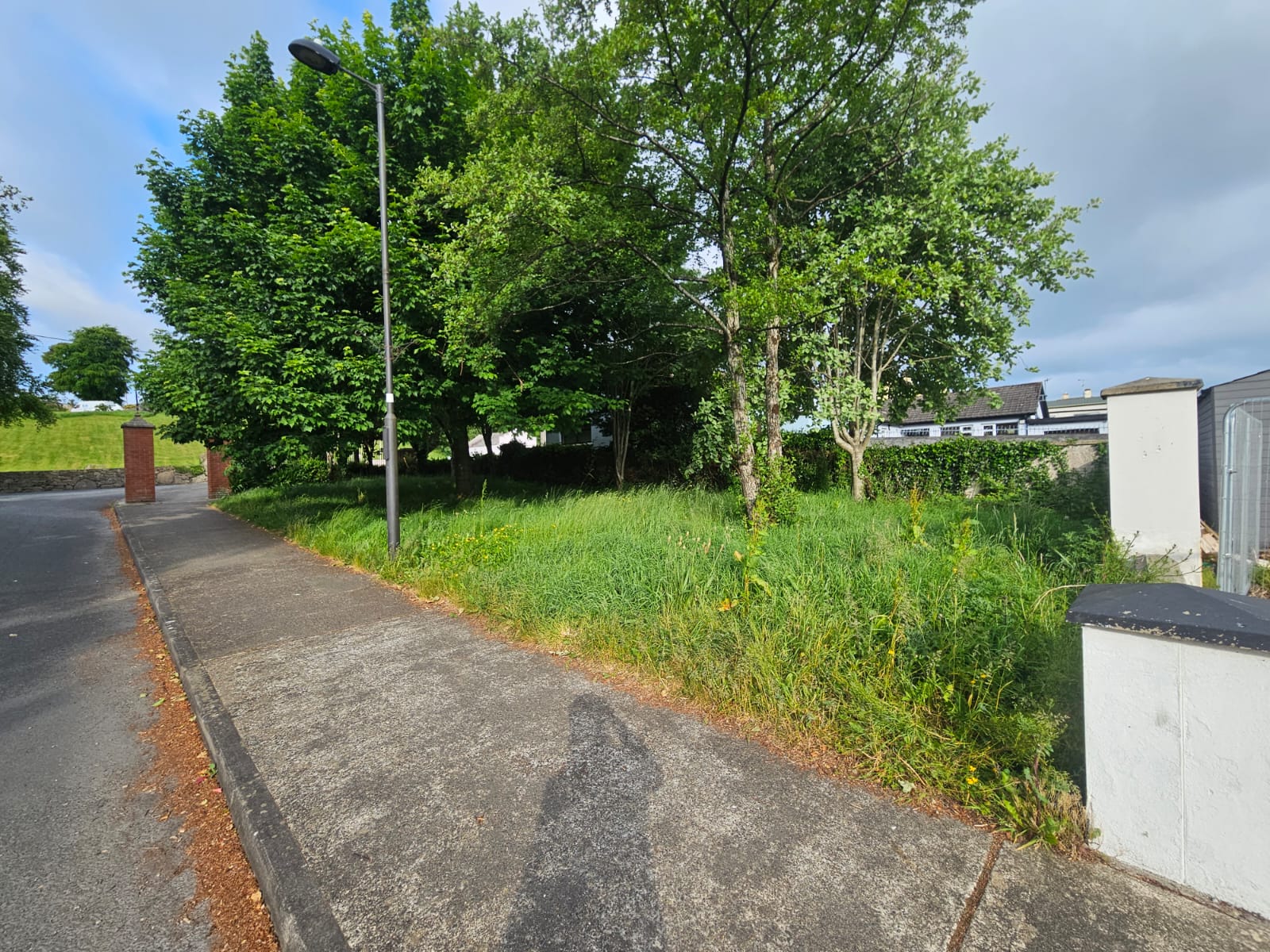 Roadside Grass Maintenance: From Wild Overgrowth to Immaculate Property Frontage