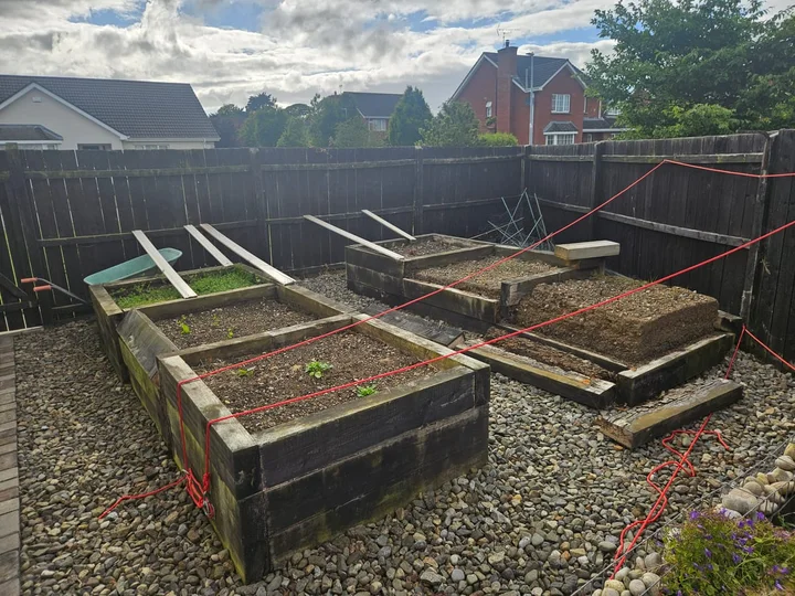 Blackrock garden transformation before the work