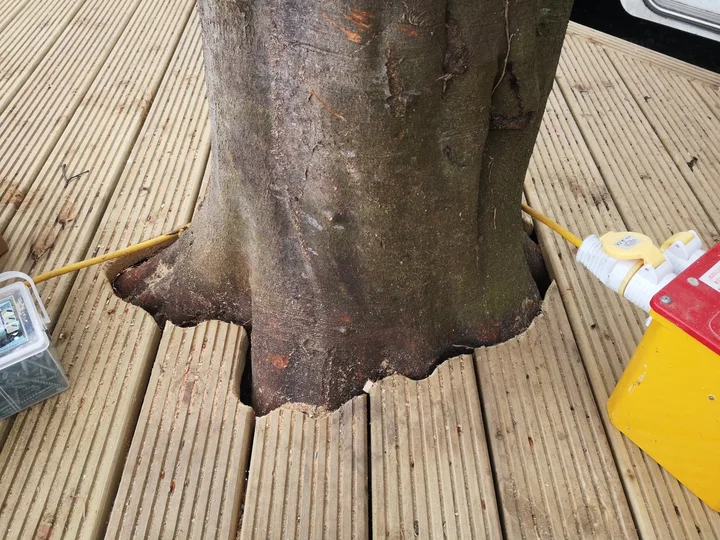 A tree trunk rises through the deck during installation.