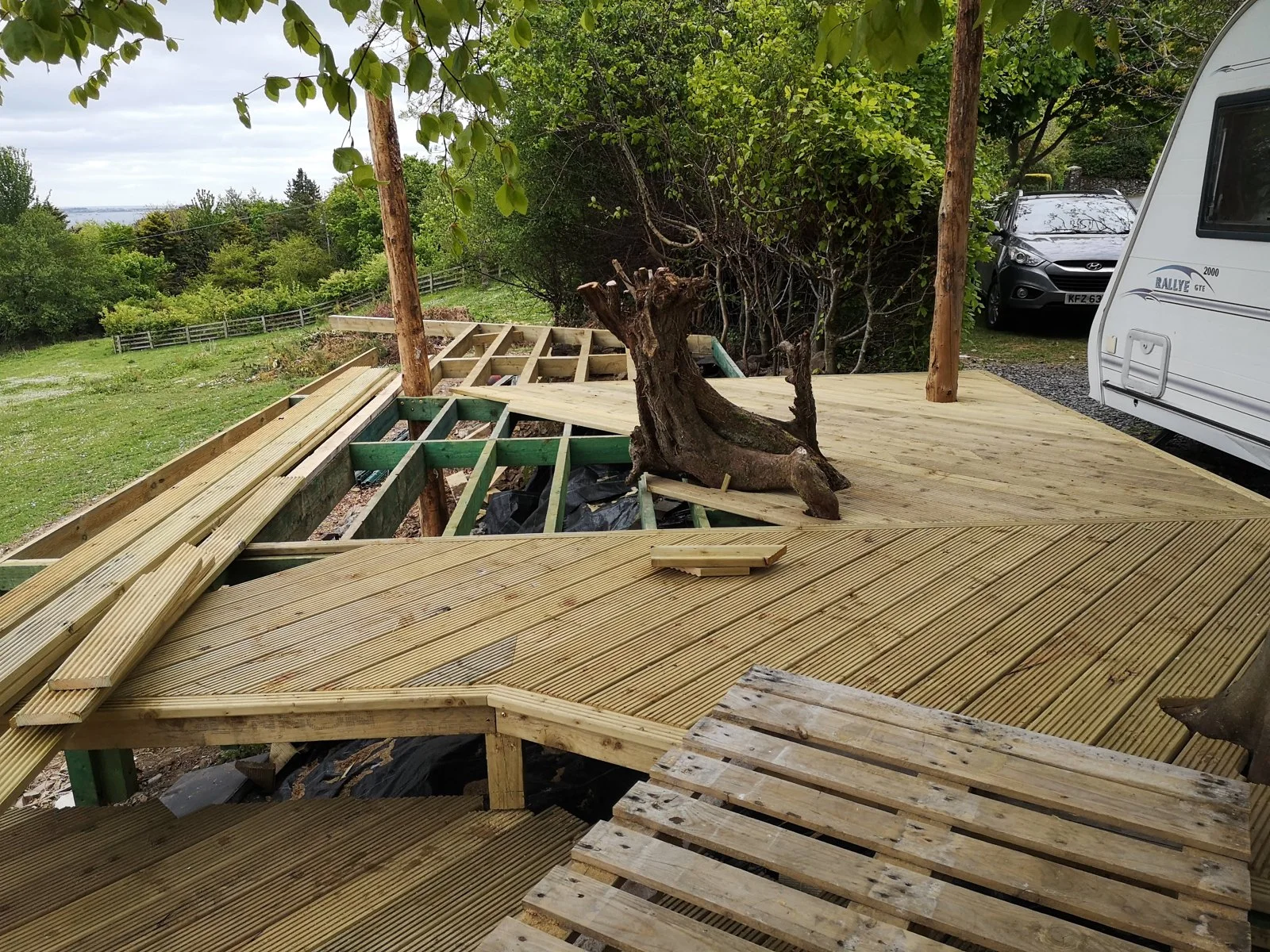 Decking around mature trees