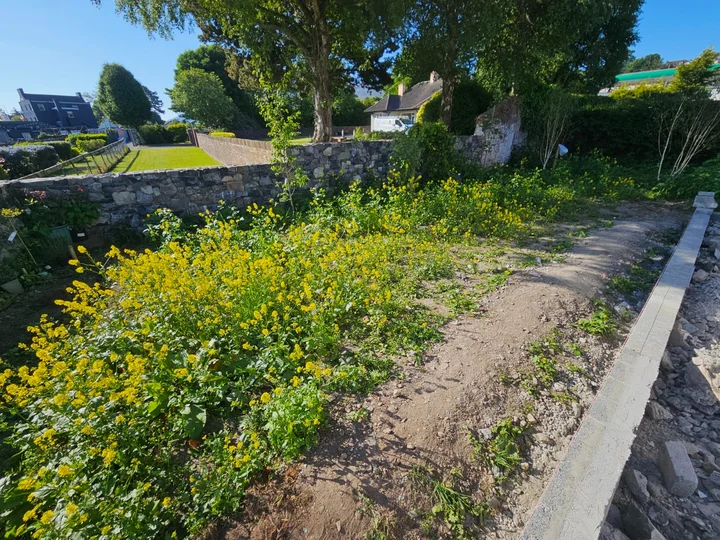 Before: Lawn renovation: preparation and seeding